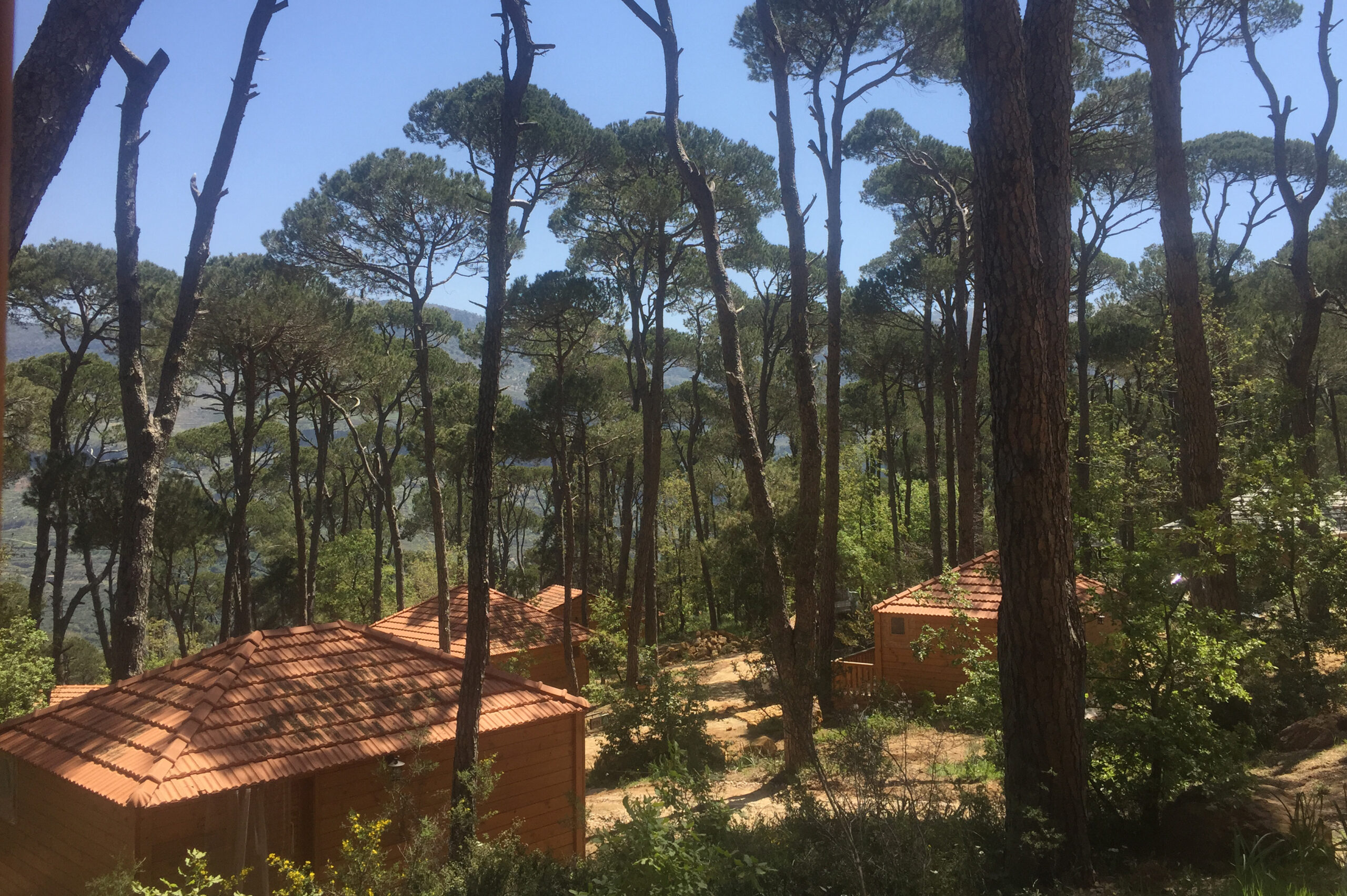 La Maison de la Foret