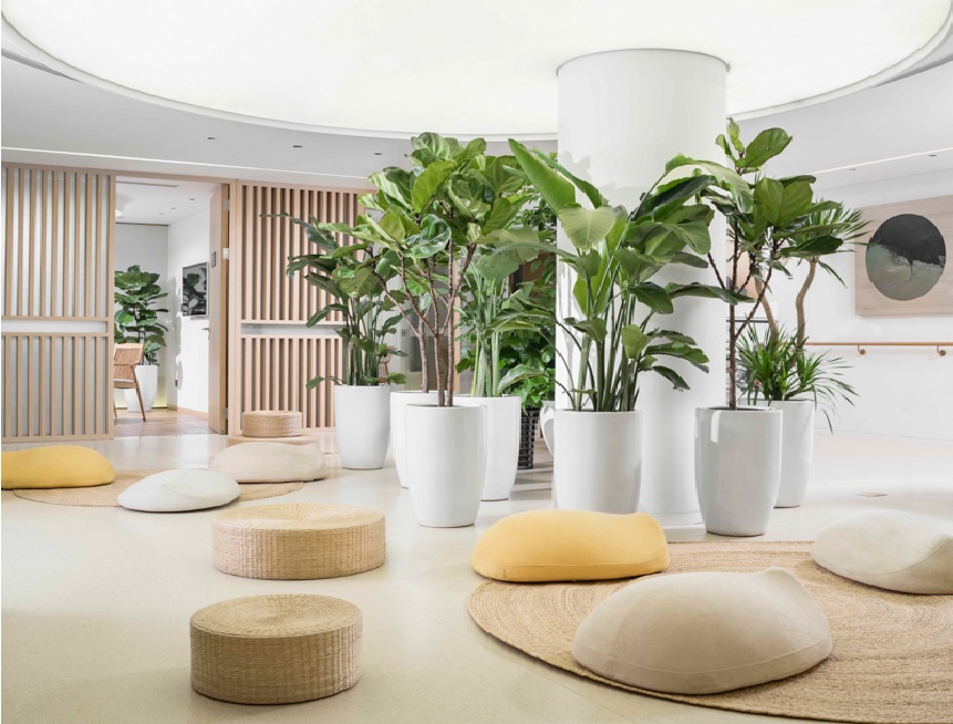 Wellness and nutrition center